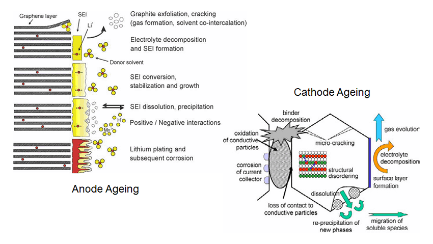 Ageing Mechanisms
